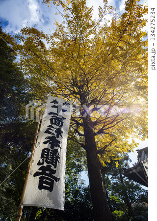 鎌倉251128　杉本寺6　黄葉 134275234