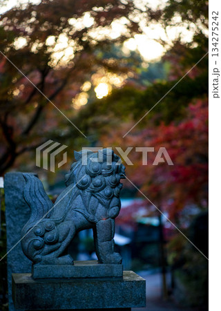 鎌倉251128　建長寺1　半僧坊＆紅葉 134275242