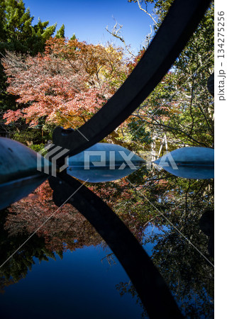 鎌倉251128　安国論寺3　紅葉 134275256