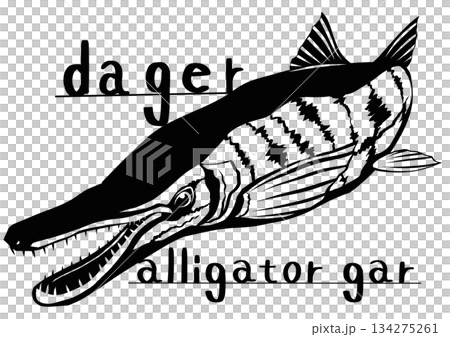 一張剪紙插圖，描繪了一種危險的古代魚類——鱷雀鱔，它長著一張類似鱷魚的臉。 134275261