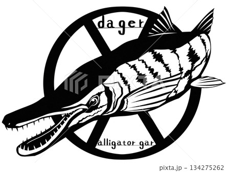白亜紀から生息の古代魚アリゲーターガーの切り絵イラスト 134275262
