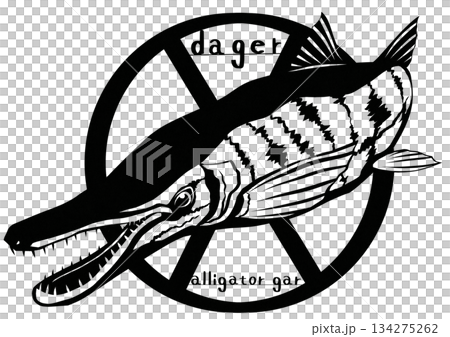 白亜紀から生息の古代魚アリゲーターガーの切り絵イラスト 134275262