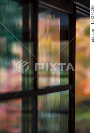 鎌倉251129　長寿寺1　紅葉	 134275266