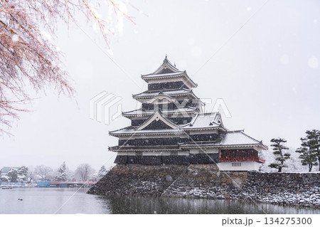 【お城素材】雪の降る冬の松本城【長野県】 【お城素材】雪の降る冬の松本城【長野県】 134275300