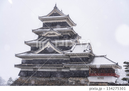 【お城素材】雪の降る冬の松本城【長野県】 134275301