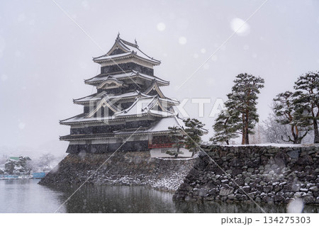 【お城素材】雪の降る冬の松本城【長野県】 134275303