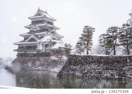 【お城素材】雪の降る冬の松本城【長野県】 【お城素材】雪の降る冬の松本城【長野県】 134275304