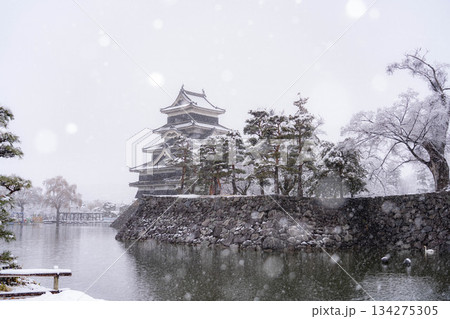【お城素材】雪の降る冬の松本城【長野県】 134275305