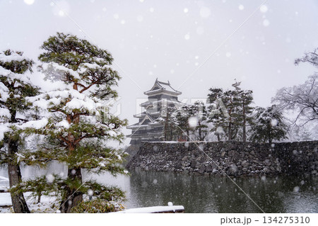 【お城素材】雪の降る冬の松本城【長野県】 134275310