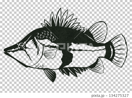 一幅用紙剪紙繪製的淡水礁魚插圖，這種魚善於偽裝。 134275327