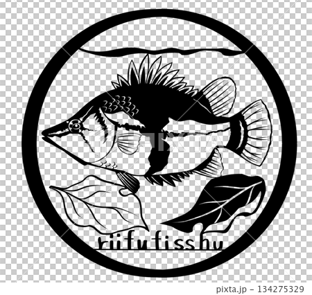 亞馬遜擬態礁魚紙剪圖 亞馬遜擬態礁魚紙剪圖 134275329