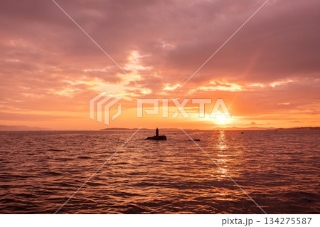 南知多町、聖崎上陸大師像と知多湾に登る朝日 134275587