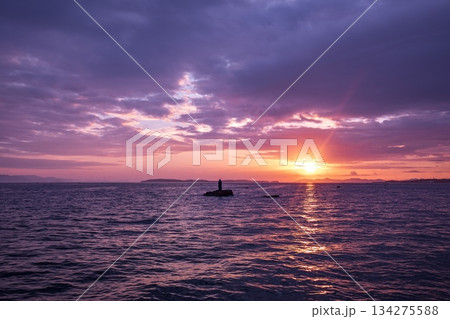 南知多町、聖崎上陸大師像と知多湾に登る朝日 134275588