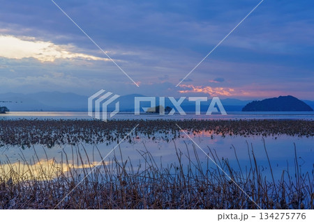 枯れたハスと琵琶湖の夕焼けのコラボ情景 134275776
