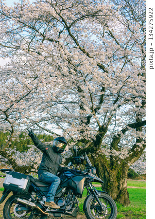 春の桜とオートバイ 春の桜とオートバイ 134275922