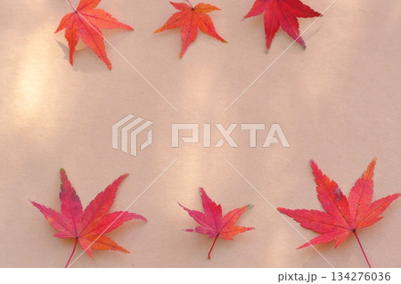 スケッチブックともみじのフレームイメージ素材 134276036
