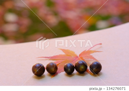スケッチブックともみじとどんぐりの秋イメージ素材 スケッチブックともみじとどんぐりの秋イメージ素材 134276071
