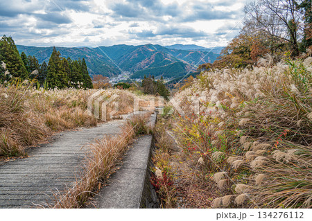 切山の中腹から望む笠置の山並み 京都府笠置町 切山の中腹から望む笠置の山並み 京都府笠置町 134276112