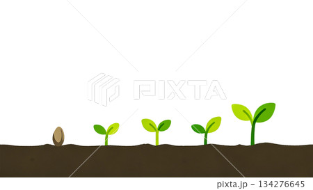 シードから始まるライフサイクルと未来への発展 シードから始まるライフサイクルと未来への発展 134276645