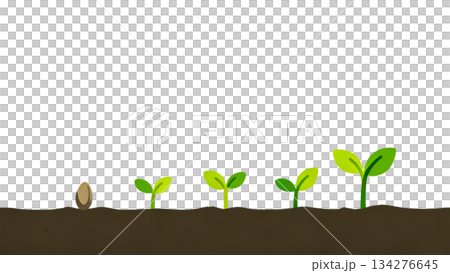 シードから始まるライフサイクルと未来への発展 シードから始まるライフサイクルと未来への発展 134276645