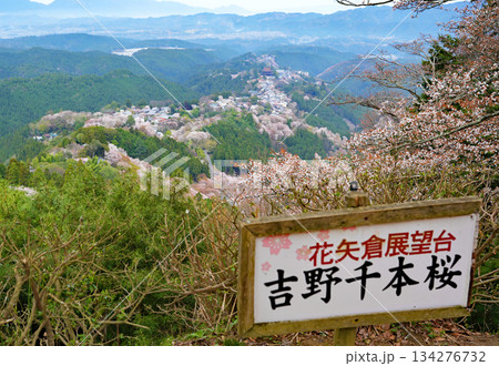 奈良・吉野の千本桜 奈良・吉野の千本桜 134276732