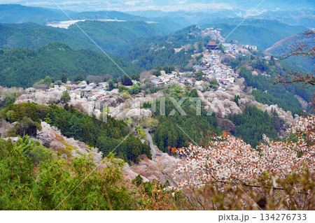 奈良・吉野の千本桜 134276733