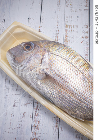 真鯛 広島産 天然 たい 真鯛 広島産 天然 たい 134276768