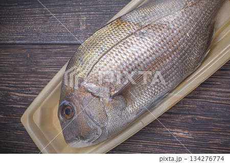 真鯛 広島産 天然 たい 真鯛 広島産 天然 たい 134276774