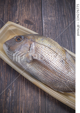真鯛 広島産 天然 たい 真鯛 広島産 天然 たい 134276775