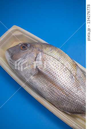 真鯛 広島産 天然 たい 真鯛 広島産 天然 たい 134276778