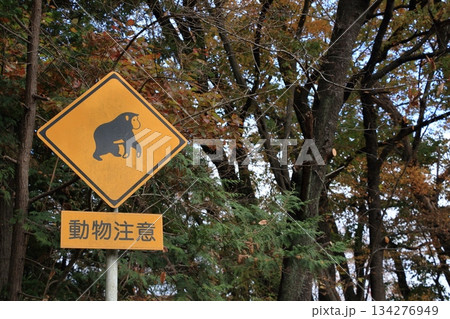 動物注意の道路標識 動物注意の道路標識 134276949