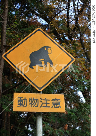 動物注意の道路標識 動物注意の道路標識 134276950