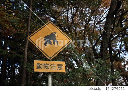 動物注意の道路標識 134276951