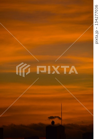 綺麗に色づいた夕焼け雲は刻々と形を変えていく 134277036