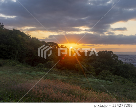 朝日が射し込む野原の風景 134277299