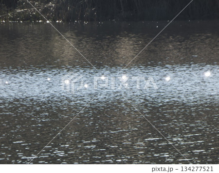 太陽の光が反射してクロス状にキラキラと輝く冬の多摩川の暗い水面の抽象的な風景 134277521