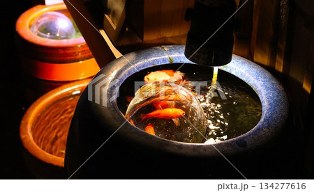 灯りに照らされる陶器の水鉢と金魚　和の癒し空間 134277616