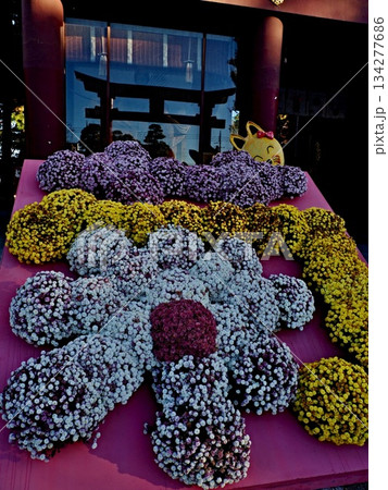 笠間稲荷神社の風景 134277686