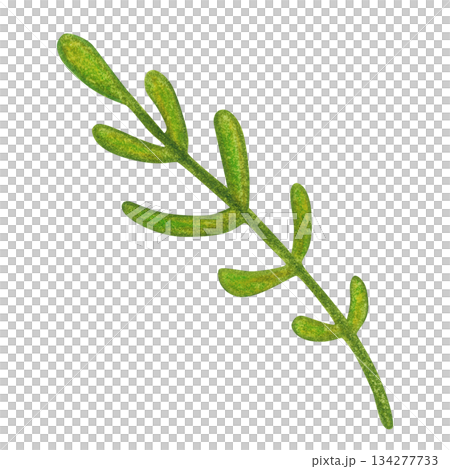 Green branch, folk, ornamental element. Hand-drawn watercolor illustration, cartoon. Flower, plant, decoration, holiday, children, Easter, isolated 134277733