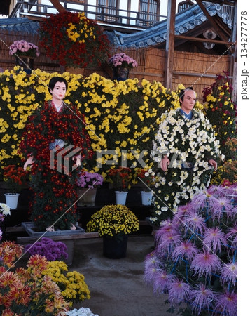 笠間稲荷神社の菊祭りの風景 134277778