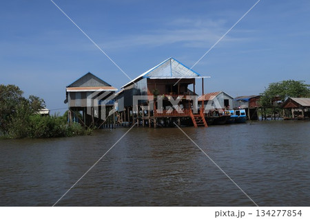 カンボジア トンレサップ湖 134277854