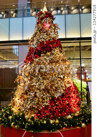 飾り付けられたクリスマスツリー「赤レンガテラス」 134277918