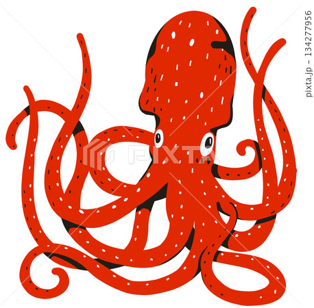 Red purple octopus hand draw simplified illustration pop art style marine sea animal life 134277956