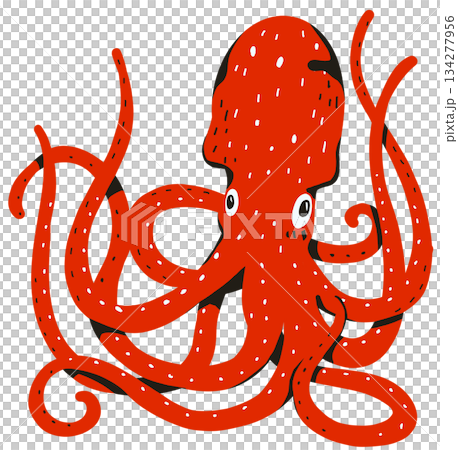 Red purple octopus hand draw simplified illustration pop art style marine sea animal life 134277956