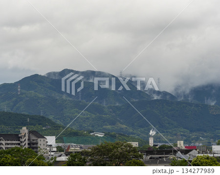 山霧が立ちのぼる雨上がりの山 134277989