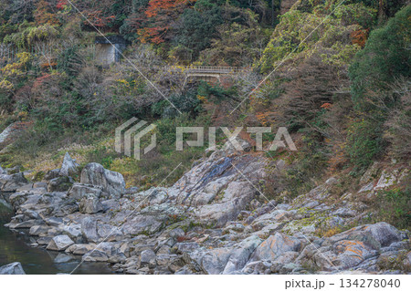 初冬の木津川風景　京都府笠置町 134278040