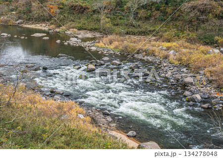 初冬の木津川風景　京都府笠置町 134278048