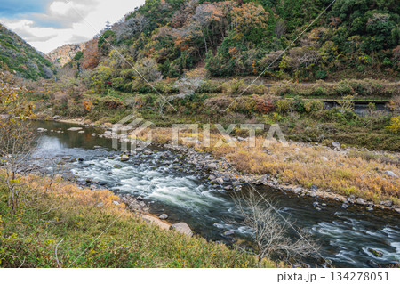 初冬の木津川風景 京都府笠置町 初冬の木津川風景 京都府笠置町 134278051