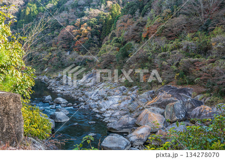 初冬の木津川風景　京都府笠置町 134278070