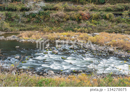 初冬の木津川風景　京都府笠置町 134278075
